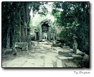 Ta Prohm