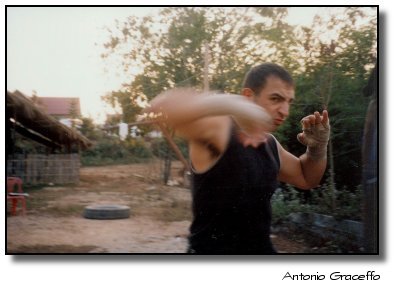 Antonio Graceffo